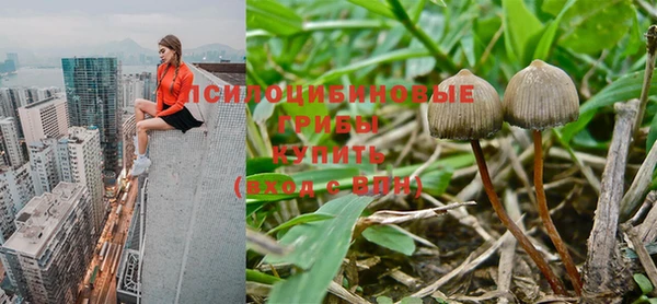 хмурый Кулебаки