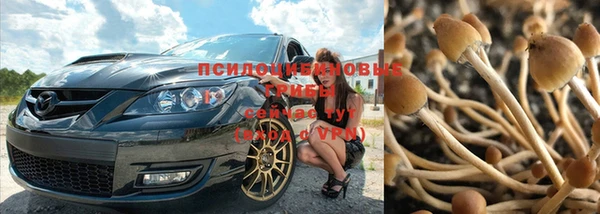 круглые Краснослободск
