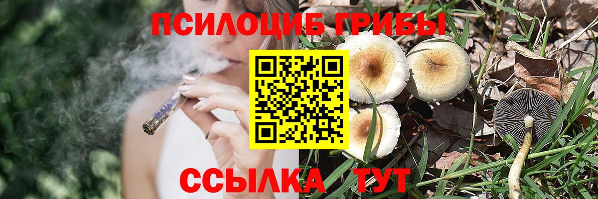 Псилоцибиновые грибы мицелий Наро-Фоминск