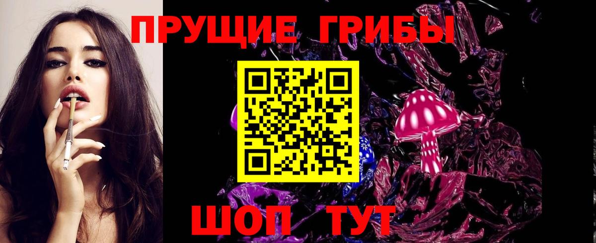 Наро-Фоминск  Псилоцибиновые грибы прущие грибы  Вход с VPN 